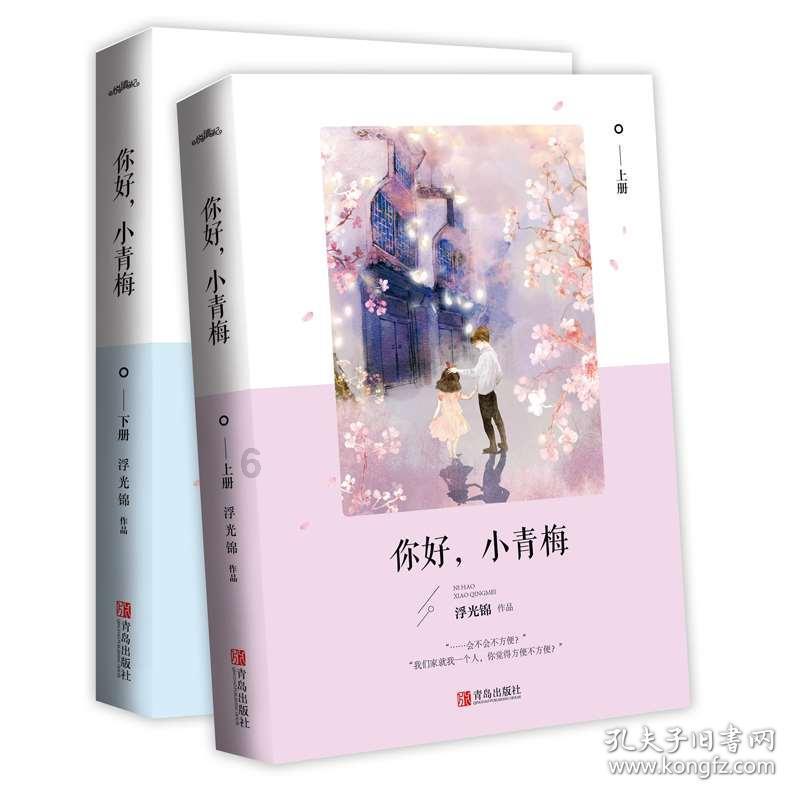 飞天小猪仔
