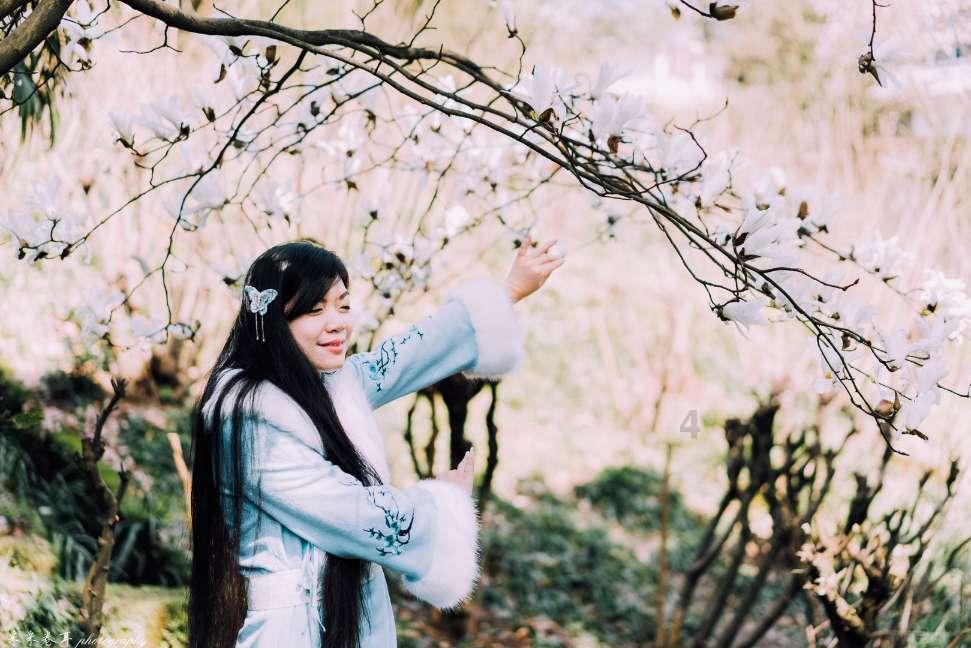 组装机械机甲暴龙2